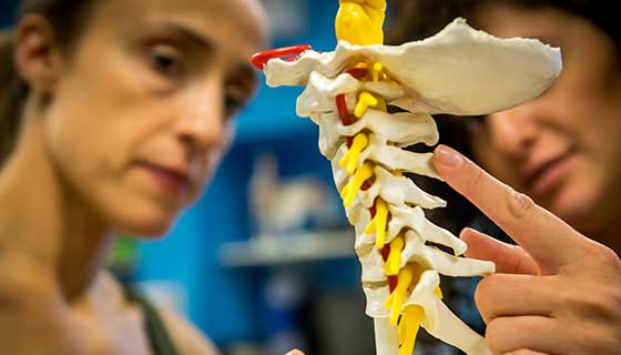 Cervical Spine Surgery